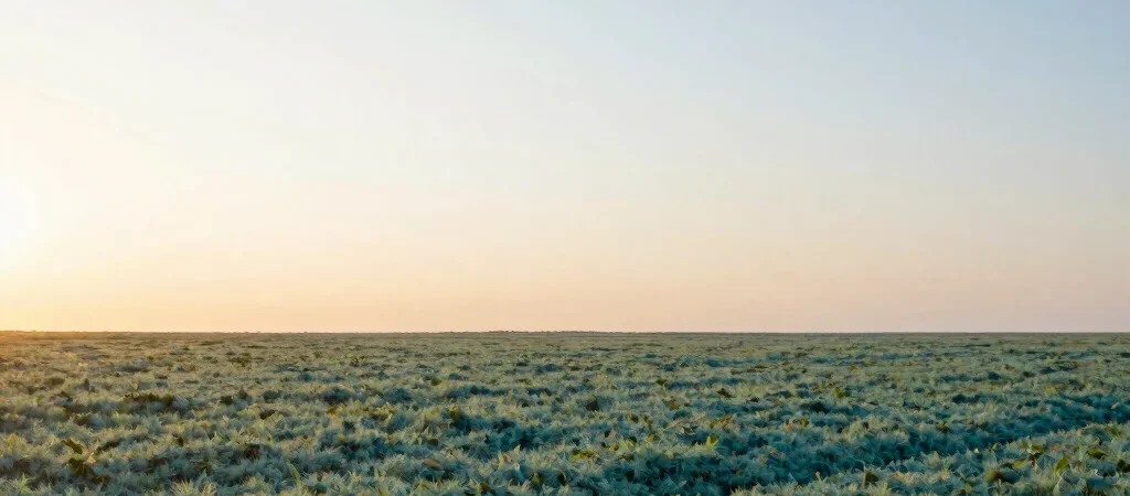 كيف يدعم الدعم النفسي والأسري مسار التعافي المستدام